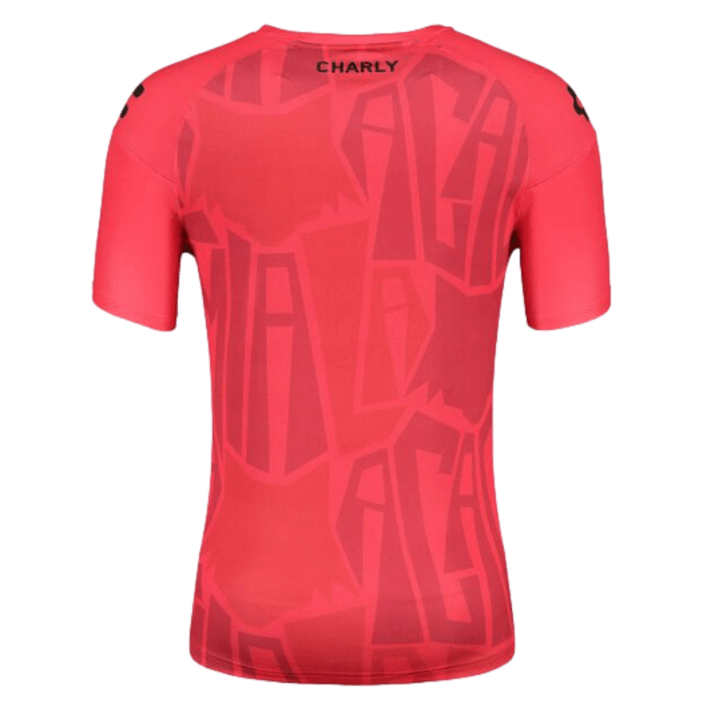 Charly, Charly Atlas 23/24 Training Jersey